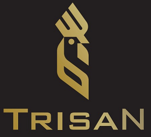 TRISAN DATA LAMA (JANGAN INPUT TRANSAKSI BARU)